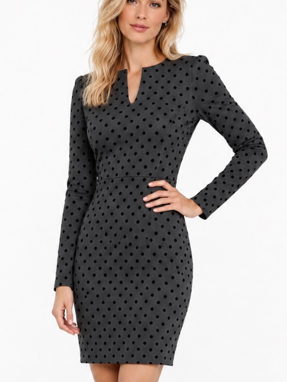 The Limited Black Gray Polka Dot Sheath Dress Long Sleeve Zip Back | SZ 2